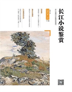 長(zhǎng)江小說(shuō)鑒賞