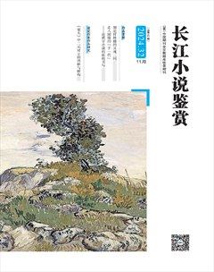 長(zhǎng)江小說(shuō)鑒賞