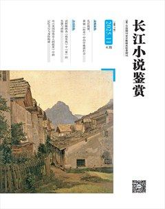 长江小说鉴赏