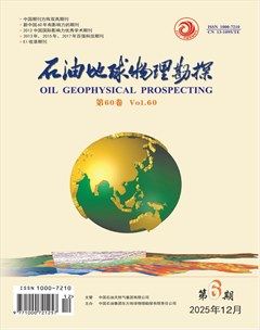 石油地球物理勘探