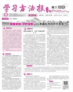 学习方法报·写作（高二）