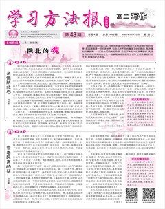 學(xué)習(xí)方法報(bào)·寫作（高二）