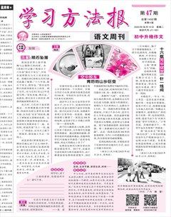 学习方法报·初中升格作文
