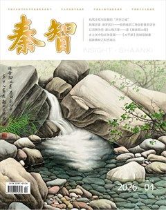 秦智