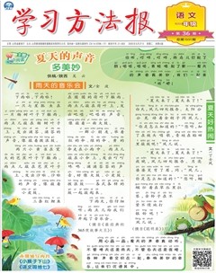 学习方法报·小学语文一年级