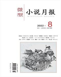 微型小說(shuō)月報(bào)