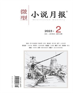 微型小说月报