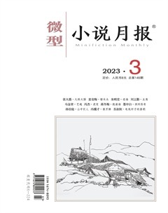 微型小说月报