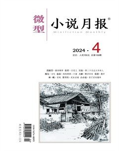 微型小說(shuō)月報(bào)