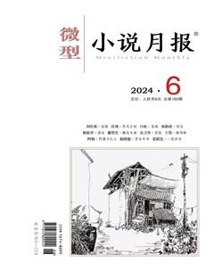 微型小說(shuō)月報(bào)