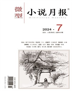 微型小說(shuō)月報(bào)