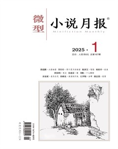 微型小说月报