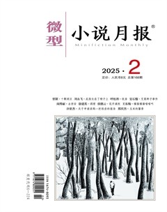 微型小说月报