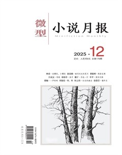 微型小说月报