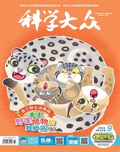 科学大众·小诺贝尔（低幼）