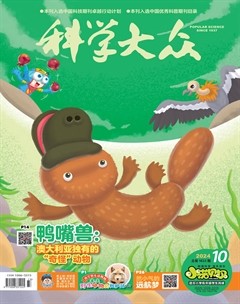 科学大众·小诺贝尔（低幼）