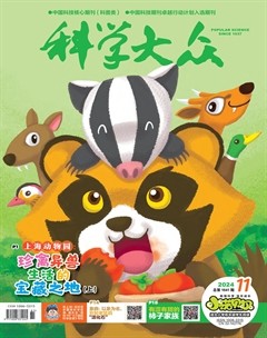 科学大众·小诺贝尔（低幼）