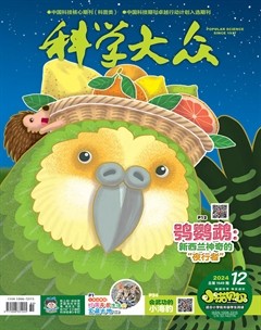 科学大众·小诺贝尔（低幼）