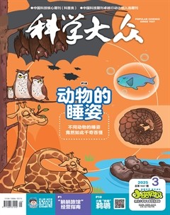 科学大众·小诺贝尔（低幼）