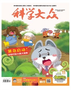 科学大众·小诺贝尔（低幼）