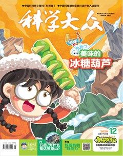 科学大众·小诺贝尔（低幼）