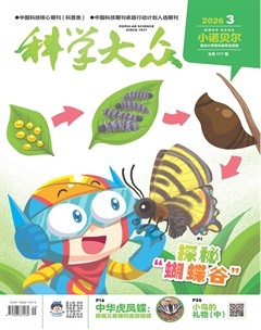 科学大众·小诺贝尔（低幼）