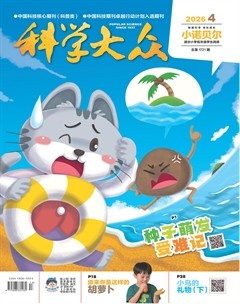 科学大众·小诺贝尔（低幼）