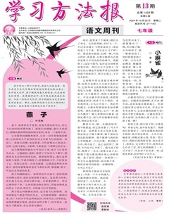 学习方法报·语文七年级