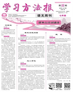 学习方法报·语文七年级