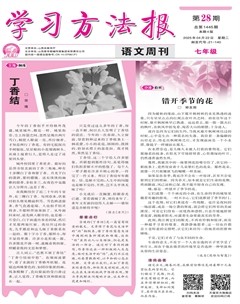 学习方法报·语文七年级