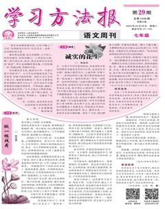 学习方法报·语文七年级