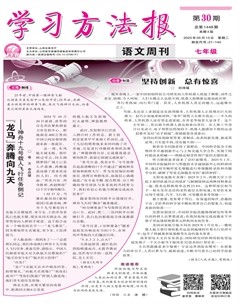 学习方法报·语文七年级