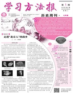 学习方法报·历史七年级