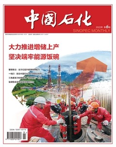 中国石化