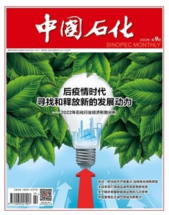 中国石化