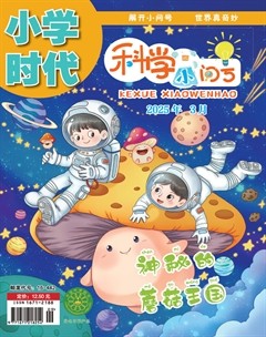 小学时代·科学小问号