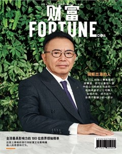 财富（中文版）