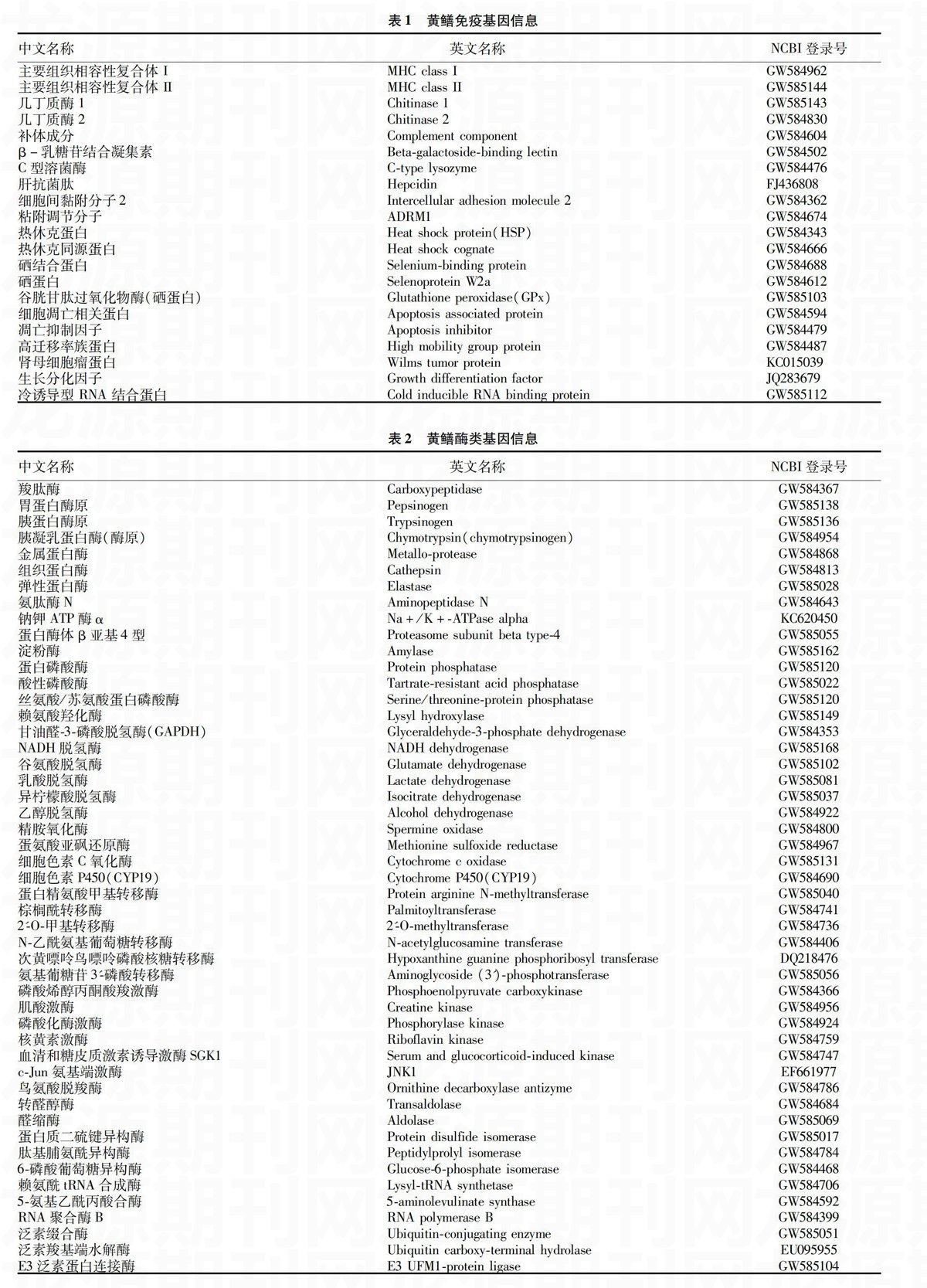 zoޛ)j馓	iRNu﮵m5_u]7wӽ6}8i蚉ڲaVitIH�'kb⦊h+qZ'^,Z