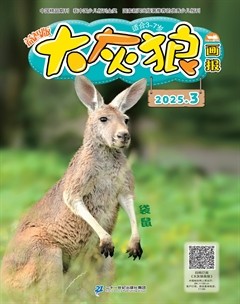 大灰狼画报·益智版