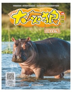 大灰狼画报·益智版