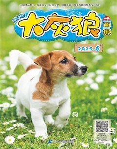 大灰狼画报·益智版
