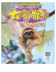 大灰狼画报·益智版