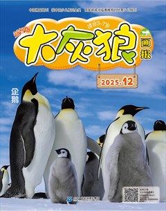 大灰狼画报·益智版