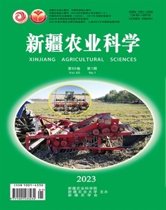 新疆农业科学