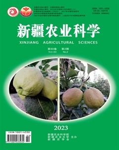 新疆农业科学