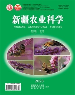 新疆农业科学