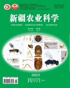 新疆农业科学