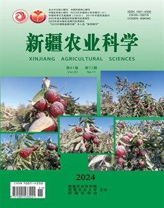 新疆農(nóng)業(yè)科學(xué)