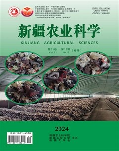 新疆农业科学