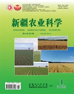 新疆农业科学